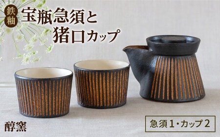 鉄釉 宝瓶急須と猪口カップ 2個セット 糸島市 / 醇窯 セット カップ [AOE010] 醇窯 高須健太郎 陶器 うつわ 器 やきもの 食器 セット
