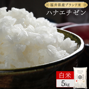 【定期便3回】福井県産 ハナエチゼン 精米 5kg（5kg×1）＜令和7年産 数量限定 ＞【米 コメ お米 精米 白米 無洗米 玄米 ご飯 飯 華越前 ブランド米 国産】[095-t3-a006]