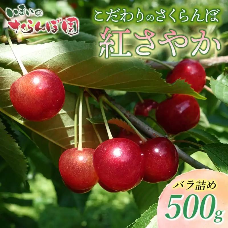 【令和9年産先行予約】こだわりのさくらんぼ「紅さやか」(Lサイズ以上)　バラ詰め 500g　いまいのさくらんぼ園　K-931