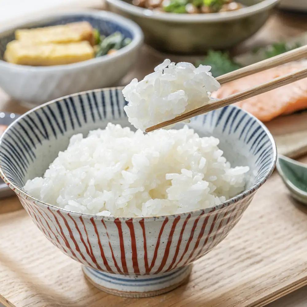【令和7年産】コシヒカリ10kg(5kg×2袋)　【07208-0927】