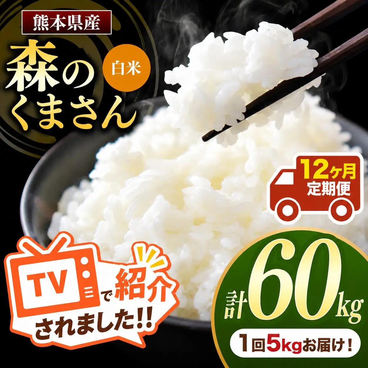 【 定期便 12回 】 R7年産 熊本県産 白米 森のくまさん 5kg