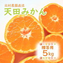 【ふるさと納税】先行予約【2024年12月上旬より発送】濃厚温州みかん贈答用5kg（和歌山天田みかん）みかんの産地和歌山　北村農園直送 | 和歌山県 印南町 和歌山 返礼品 支援 楽天ふるさと 納税 フルーツ 果物 くだもの みかん ミカン 蜜柑 柑橘 柑橘類 5キロ