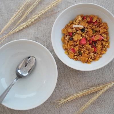 ふるさと納税 多治見市 【美濃焼】TLPリムバンド オートミル(ホワイト/ブルー)4枚セット【軽量食器】 |  | 01