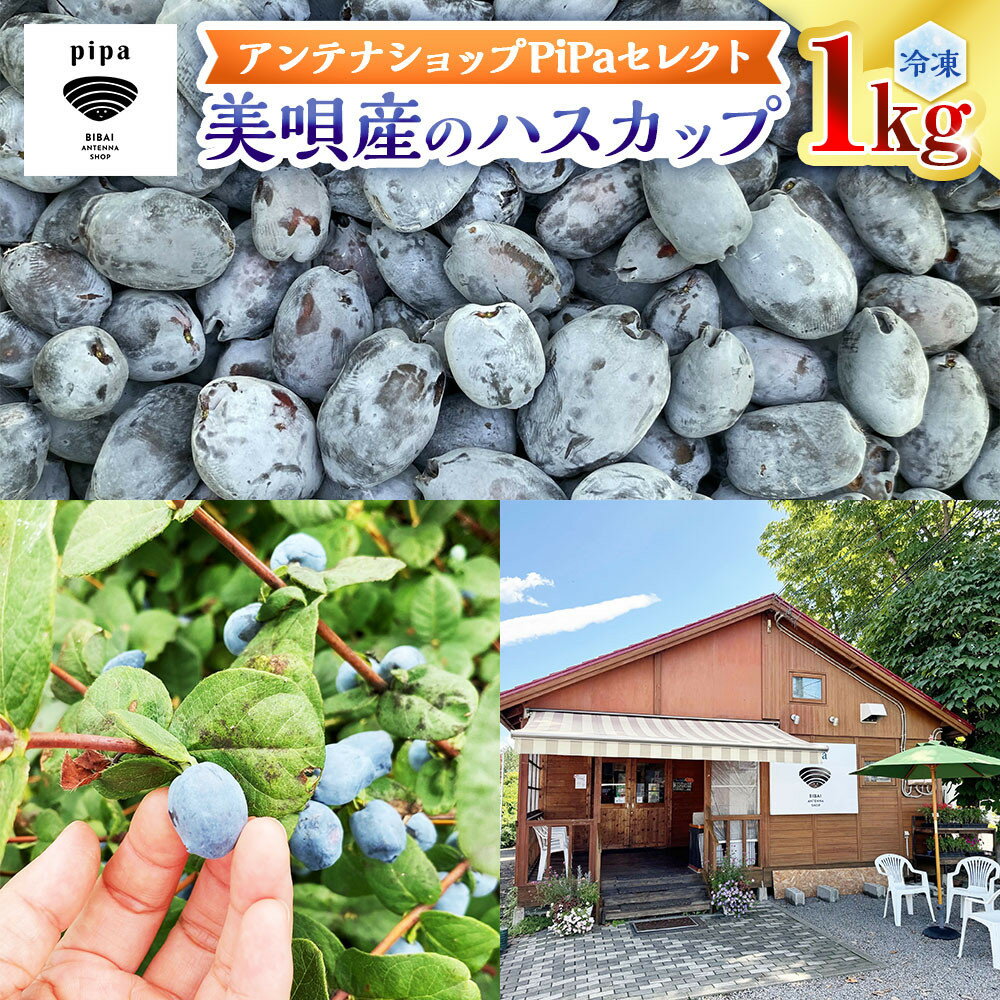 【ふるさと納税】アンテナショップPiPaセレクト 美唄産のハスカップ1.0kg（500g×2）