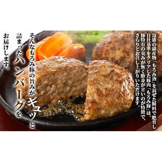 もろみ豚 特製 ハンバーグ 100g×8個【合計800g】 AH-8-1