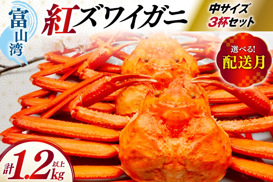 
                  【選べる発送月】 カニ ベニズワイ 冷凍便 中サイズ 3杯 総計1.2kg以上 [聖徳丸 富山県 朝日町 34310555] かに 蟹 紅ズワイガニ ベニズワイガニ 紅ずわいがに
                