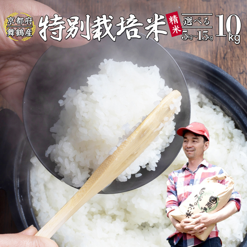 【令和7年度産 新米 先行予約】 棚田米 10kg 精米 ： コシヒカリ 特別栽培米 7割削減 新米 京都産 お米 農家直送 こしひかり 米 ご飯 白米 低農薬 減農薬 栽培 棚田 低農薬米 減農薬米 おいいしお米
