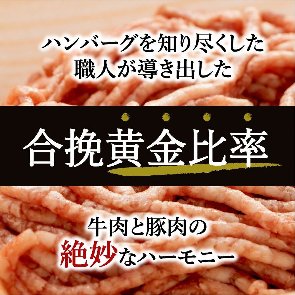 佐賀牛入り 熟成 ハンバーグ 約120ｇ×20個 J924