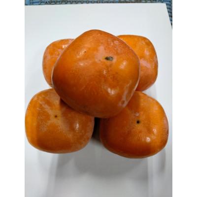 ふるさと納税 橋本市 紀の川柿(訳あり品)12〜15個入り |  | 02