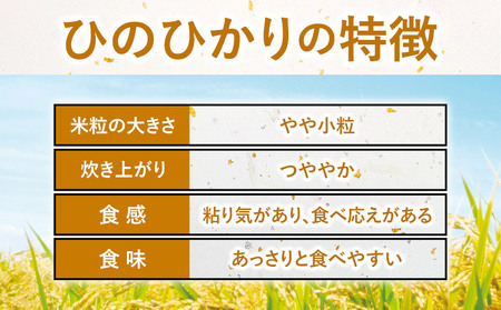 無洗米【12ヶ月定期便】令和7年産 ありがとう園のお米 10kg《お申込み月の翌月から出荷開始》