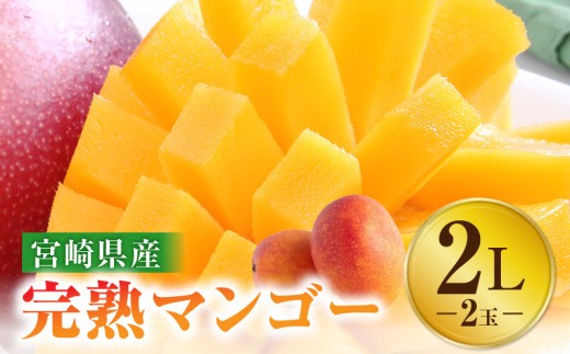 《2026年発送》【数量・期間限定】宮崎特産品 宮崎県産完熟マンゴー 2L×2玉_M275-001