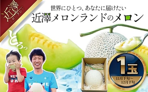 【先行予約】先行予約 メロン 1玉入（約1.4kg～1.8kg）青肉 〈2026年11月下旬～12月末頃発送〉 メロン めろん マスクメロン 舐瓜 果物 くだもの フルーツ デザート 旬 ハウス栽培【株式会社とさもん】[BQAE022]