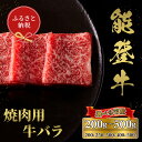 【ふるさと納税】選べる容量【和牛セレブ】能登牛 牛バラ 焼肉 （200g〜500g）/［石川県が認定の能登牛］[復興支援] 石川県 能登 穴水町 黒毛和牛 銘柄牛 能登牛 牛肉 アウトドア キャンプ ステーキ ギフト【送料無料】