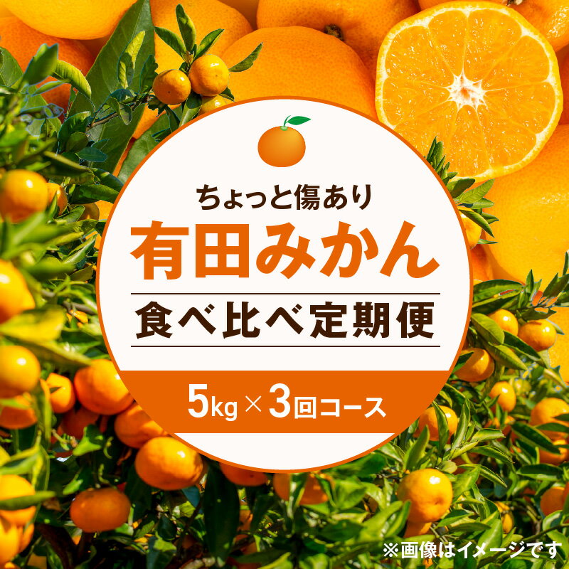 【ふるさと納税】【定期便】(先行受付2025年10月発送スタート)【ちょっと傷あり5kg×3回コース】有田みかん・食べくらべ3種【南泰園】 ※2025年10月中旬～2026年1月下旬頃に順次発送予定 ※着日指定不可【ミカン 蜜柑 柑橘 温州みかん 和歌山 有田】