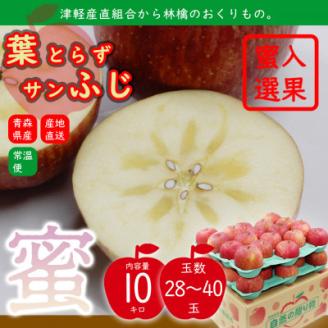 りんご 『葉とらずサンふじ』 蜜入り 10kg 28～40玉 津軽産直組合直送!糖度光センサー選果【配送不可地域：離島】