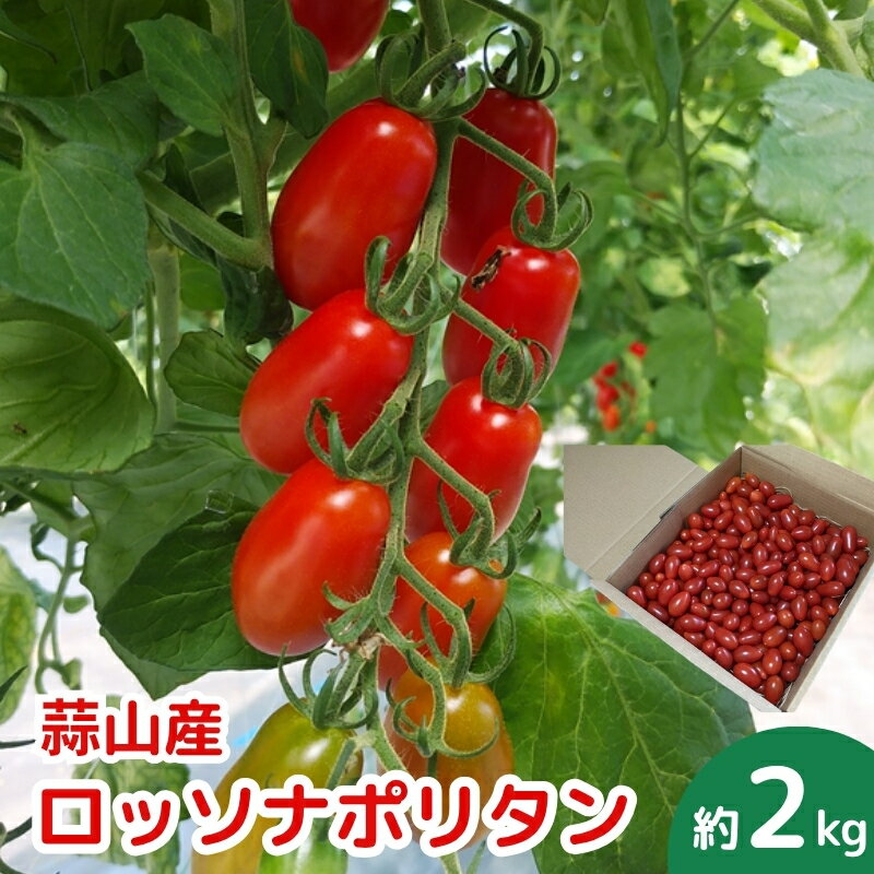 【ふるさと納税】亮麻農園 イタリアントマト「ロッソナポリタン」2kg ＜2025年8月～10月ごろ順次発送予定＞ 野菜 新鮮 産地直送 旬野菜 旬