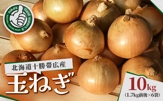 北海道十勝帯広産 玉ねぎ 10kg【1497180】