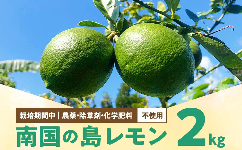 
■ 【先行受付】栽培期間中　農薬・除草剤・化学肥料不使用！南国の島レモン２キロ！【8月下旬～1月下旬】
