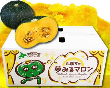 ≪令和8年産予約受付！≫おおとり 夢みるマロン 南瓜