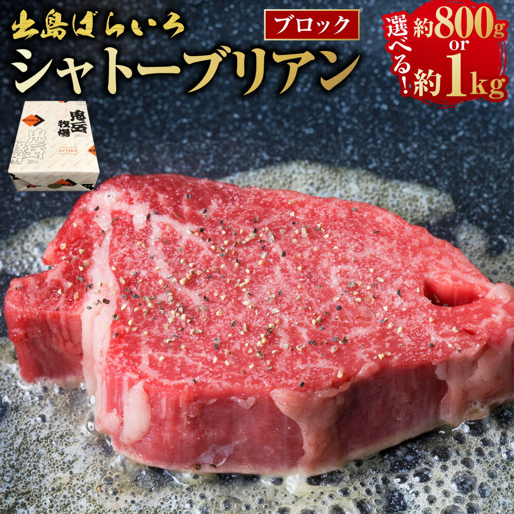【ふるさと納税】出島ばらいろ シャトーブリアンブロック 選べる内容量 ( 約800g / 約1kg ) | ステーキソース 長崎和牛 牛肉 お肉 化粧箱入り 冷凍 長崎県産 国産 九州 長崎県 長崎市 送料無料