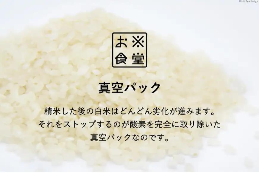 米 コシヒカリ 真空パック 精米 300g × 10袋