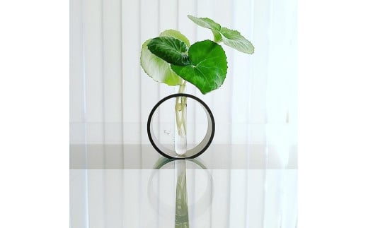 
一輪挿し『φ』
