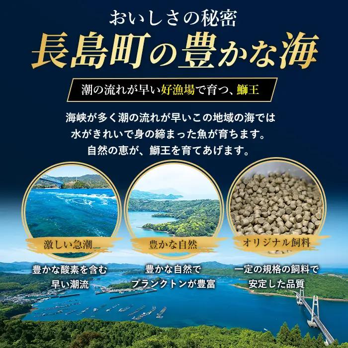 ぶりの王様「 鰤王 」 新物 スキンレスポーション 4P入り 冷蔵 でお届け ぶり ブリ 鰤 ぶりしゃぶ たたき 産地直送 新鮮 旨味が抜群の 長島町 特産品【JFA】jfa-1645