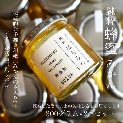 ふるさと納税 八幡浜市 純粋はちみつ【みかん蜂蜜】300g×2本セット【D74-1】