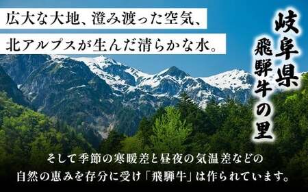 【定期便】訳あり 飛騨牛 焼き肉用 切り落とし 1kg 3回 定期便 ※離島への配送不可｜牛 牛肉 国産 和牛 焼肉 切り落とし 訳アリ わけあり 飛騨牛訳あり BBQ バーベキュー 牛肉飛騨牛 飛騨