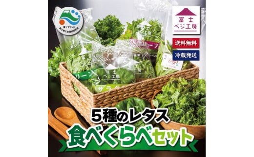 レタス 5種類×2株セット 【富士山の伏流水で農薬を使わず育てた新鮮レタス】安心 安全 農薬不使用 富士市 野菜(1517)