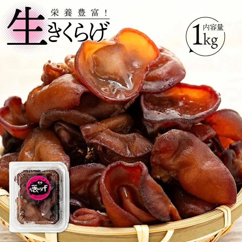 U01-001 生きくらげ
