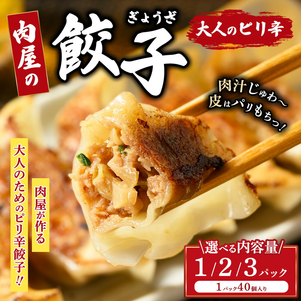 【ふるさと納税】【選べる容量】冷凍 生餃子 大人のピリ辛 肉屋の餃子（40個入り） 1パック 2パック 3パック