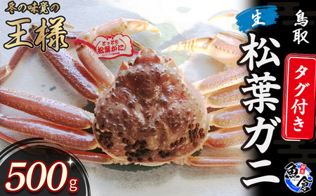 【魚倉】 タグ付き生松葉ガニ （500g） 松葉ガニ タグ付き松葉ガニ 生松葉ガニ かに カニ 蟹 ズワイガニ ずわいがに