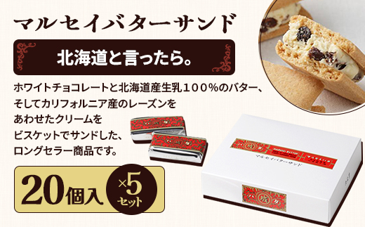 六花亭六花セレクションC 5セット(1セット:マルセイバターサンド20個+マルセイバターケーキ5個)【1784609】