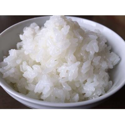 ふるさと納税 南魚沼市 【発送月固定定期便】桑原農産のお米 山間地限定米 南魚沼産こしひかり[5kg×1袋]全6回 |  | 03