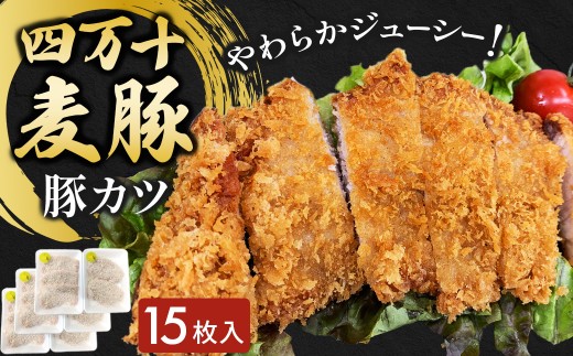 四万十麦豚 豚カツ （約100g×15枚）平野協同畜産 豚肉 麦豚 四万十麦豚 ブランド豚 トンカツ 豚カツ 冷凍カツ 豚ロース 背ロース Ahc-A19