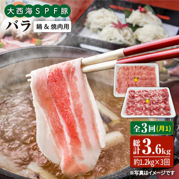 【ふるさと納税】【訳あり】【月1回1.2kg×3回定期便】大西海SPF豚 バラ（焼肉＆しゃぶしゃぶ用）＜大西海ファーム＞ [CEK086]