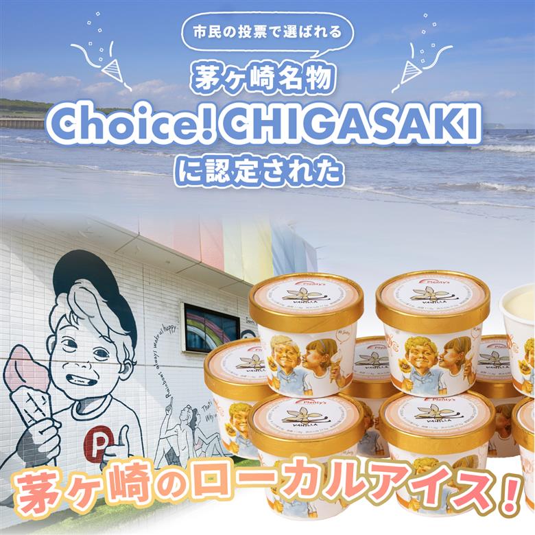 湘南茅ヶ崎の人気店 プレンティーズのアイスクリーム（バニラ10個）【のし無】 湘南 人気 スイーツ アイス デザート プレミアム カップ 詰め合わせ セット 食べ比べ プチ贅沢 贈り物 ギフト プレゼ