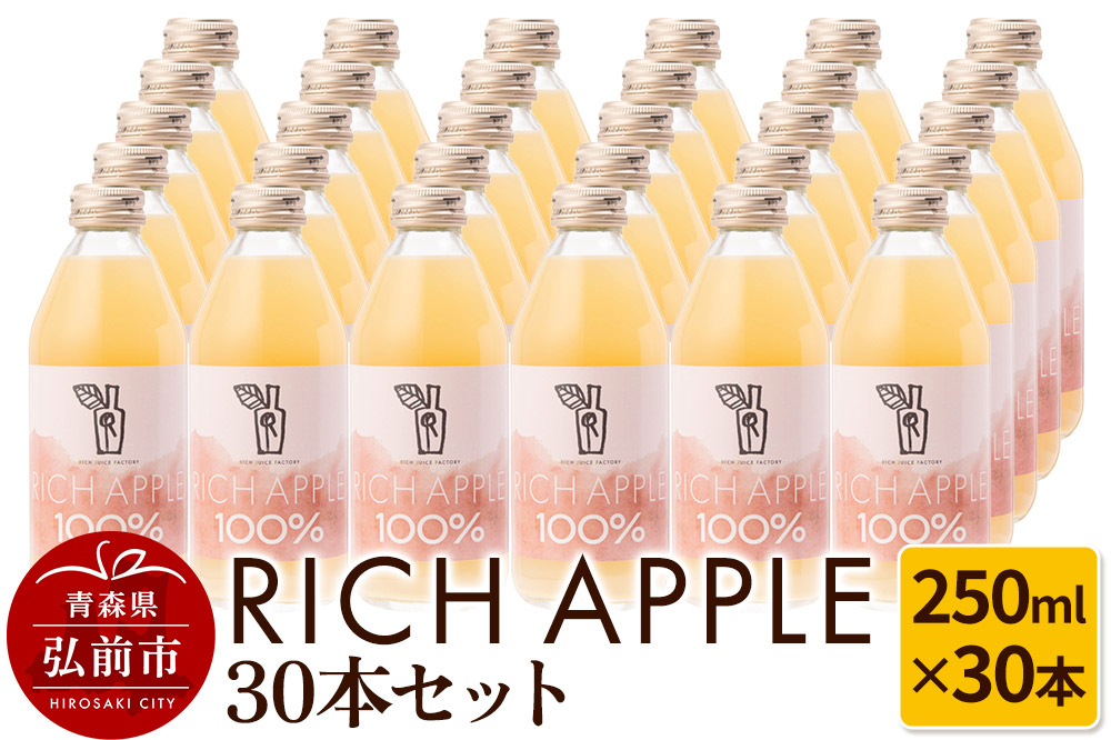 りんごジュース RICH APPLE 　30本セット（250ml×30本）