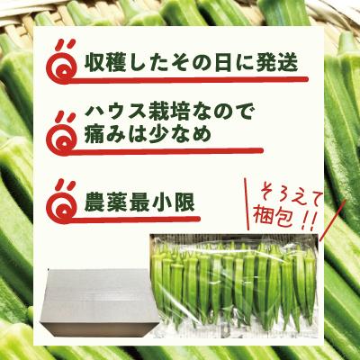 ふるさと納税 大館市 トロッとおいしいオクラ<約600g> |  | 03