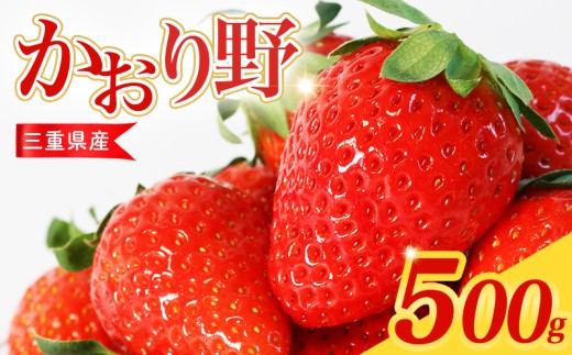 【先行予約】 いちご 250g×2パック かおり野 数量限定 苺 新鮮 産地直送 厳選 フルーツ 果物 くだもの 贈答用 贈答品 贈答 ギフト プレゼント 国産 三重県 伊勢 志摩 南伊勢町 10000円以下 一万円以下 6000円 六千円