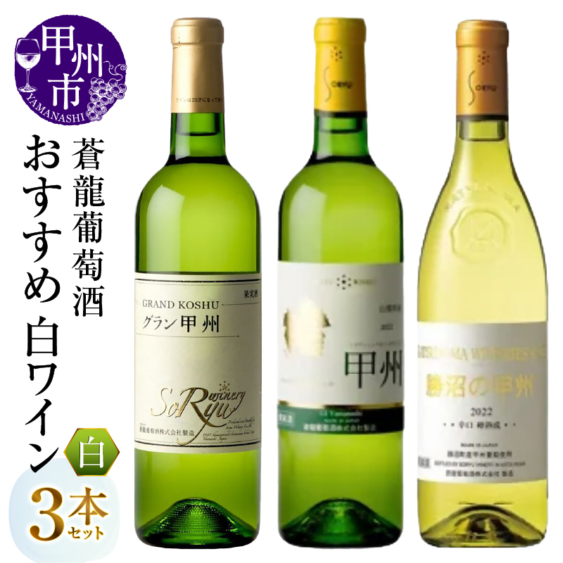蒼龍葡萄酒おすすめ白ワイン3本セット（MG）B19-489