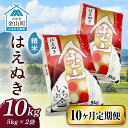 【ふるさと納税】 令和6年産 金山産米 はえぬき 【精米】（5kg×2袋）×10ヶ月 計100kg 定期便 米 お米 白米 ご飯 ブランド米 送料無料 東北 山形 金山町 F4B-0539