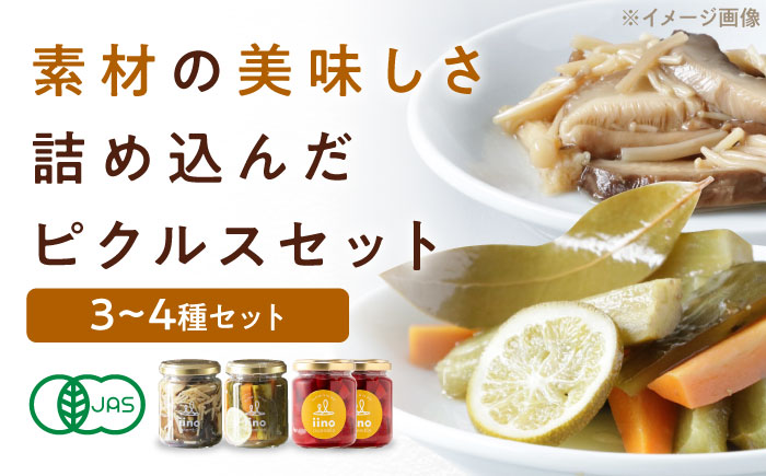 ピクルスセット 4個入り 愛媛県大洲市/iino assemble | ピクルス 野菜 詰め合わせ セット 加工食品 漬物 [AGAA015]