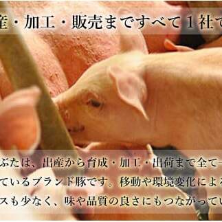 【3回定期便 豚肉7種セット】 ありたぶた バラエティSセット (豚肉7種) 3回 定期便 小分け 真空パック 豚肉 ロース バラ ウインナー ソーセージ ハンバーグ N60-8_イメージ5