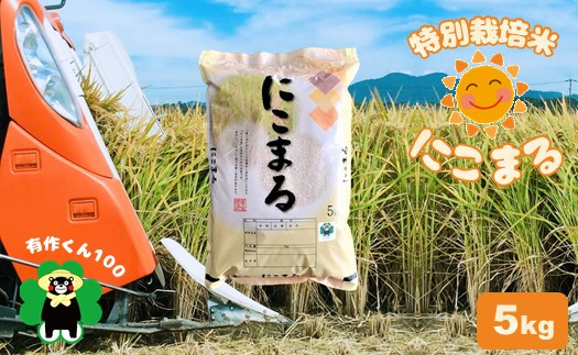 
特別栽培米 「にこまる」5kg 熊本玉名産
