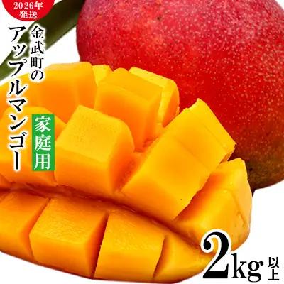 マンゴー【2026年発送】農家さん直送！アップルマンゴー2kg以上 家庭用