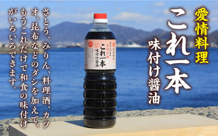 忙しいあなたに！これ1本で美味しい味付け！味付け醤油の満足セット （特級／白だし）料理 ラーメン うどん 鍋 餃子 ギフト 江田島市/有限会社濱口醤油[XAA001]