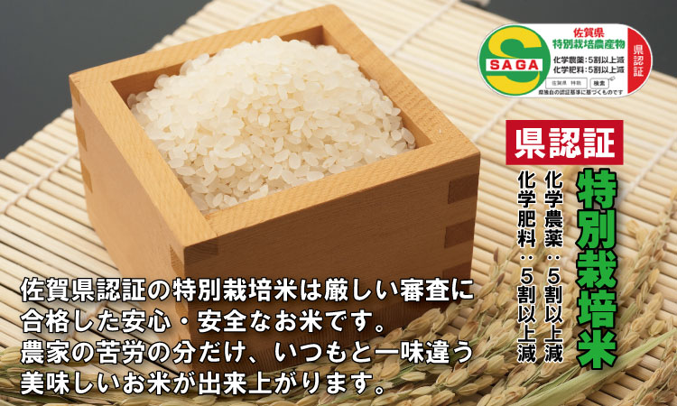 令和6年度産 佐賀県認証 特別栽培米「さがびより」北川農産（10kg） 農家直送 食味ランキング 佐賀県産 一等米 精米 白米 ブランド米 お米 白飯 人気 ランキング 高評価