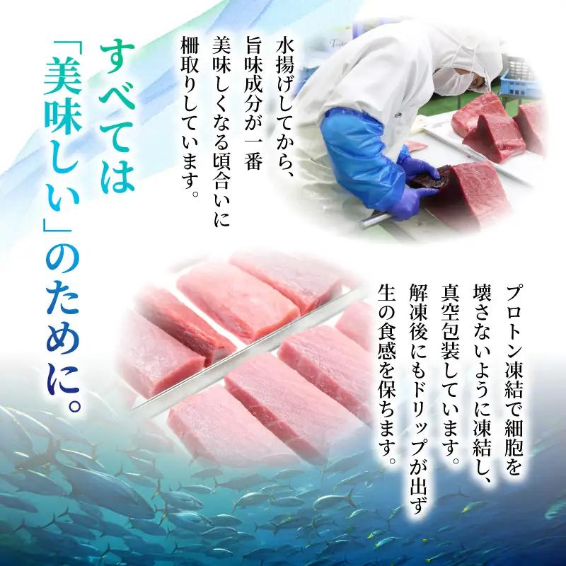本マグロ 2種セット 中トロ 赤身 2kg マグロ
